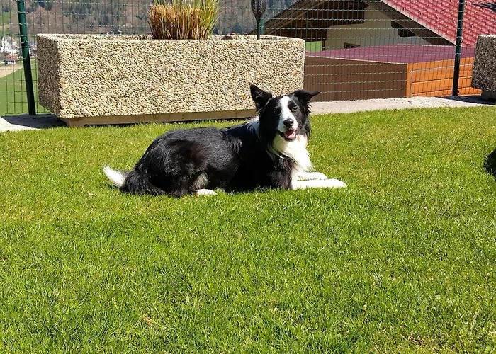 Pfister Апартаменты Кальтенбах