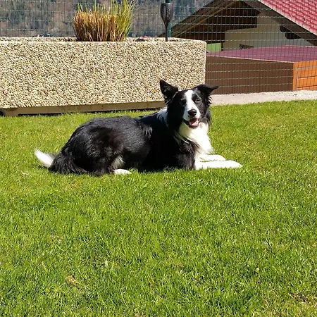 Pfister Lägenhet Kaltenbach